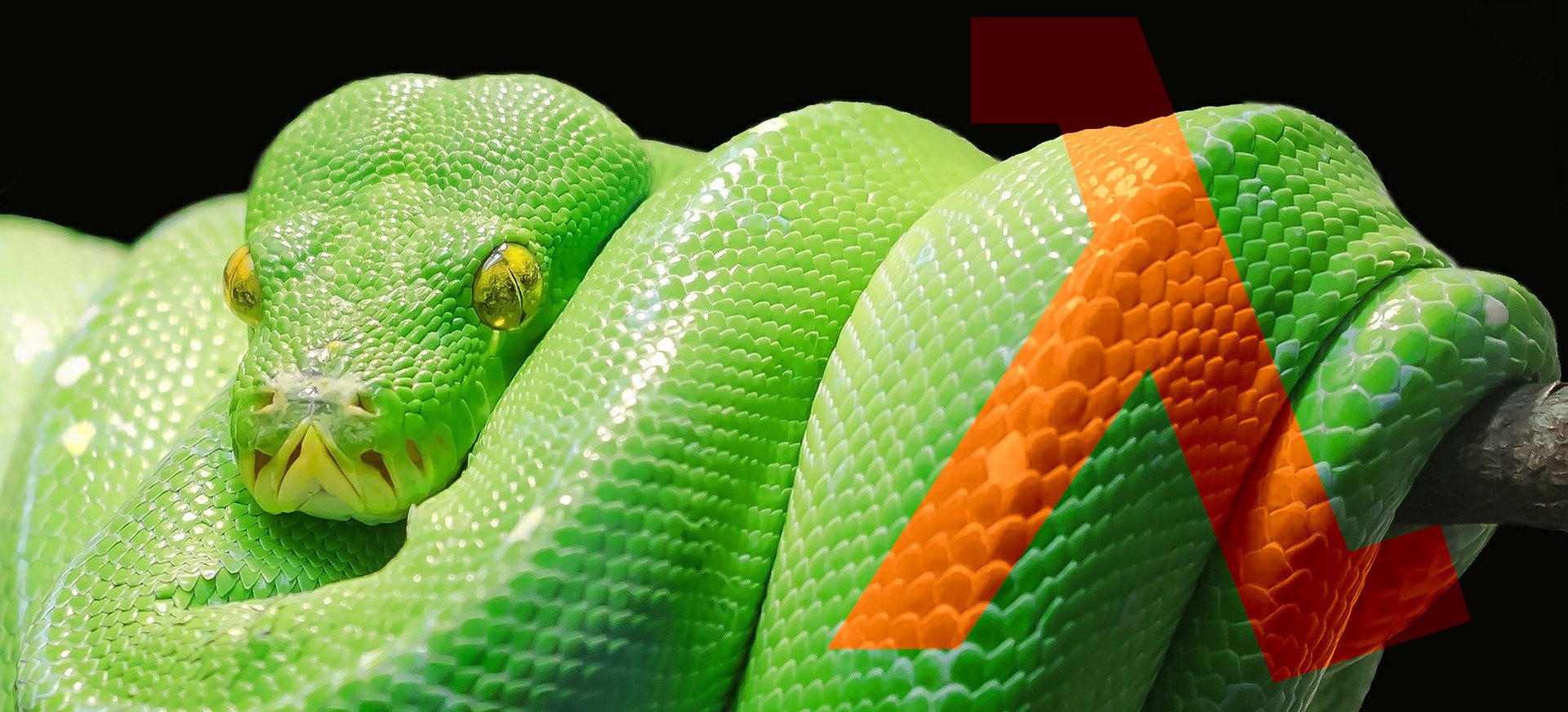 楽天市場】Pythonプログラミングパーフェクトマスター[Python3
