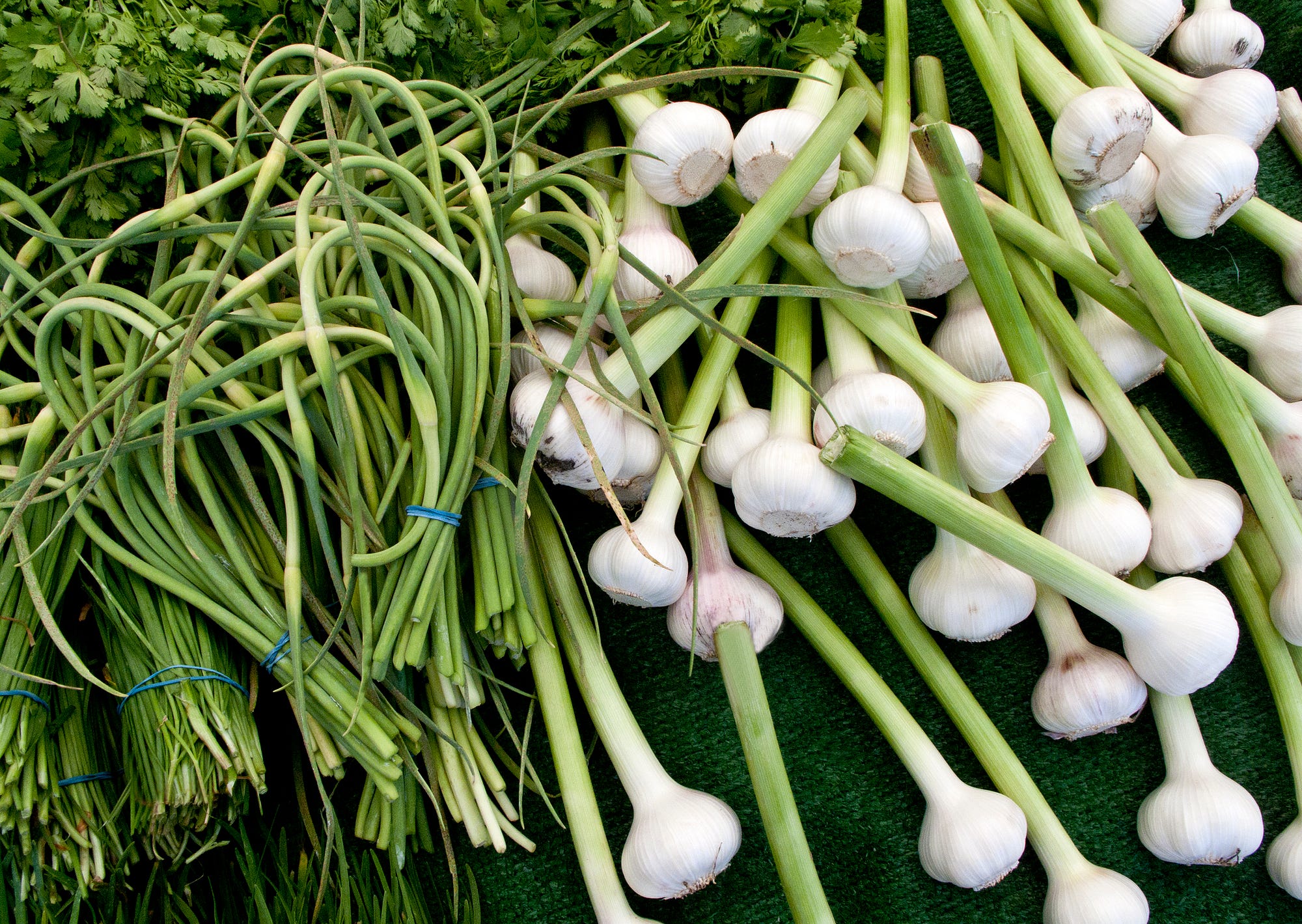 How to Use Green Onions and Get the Most Out of This Tasty Veggie