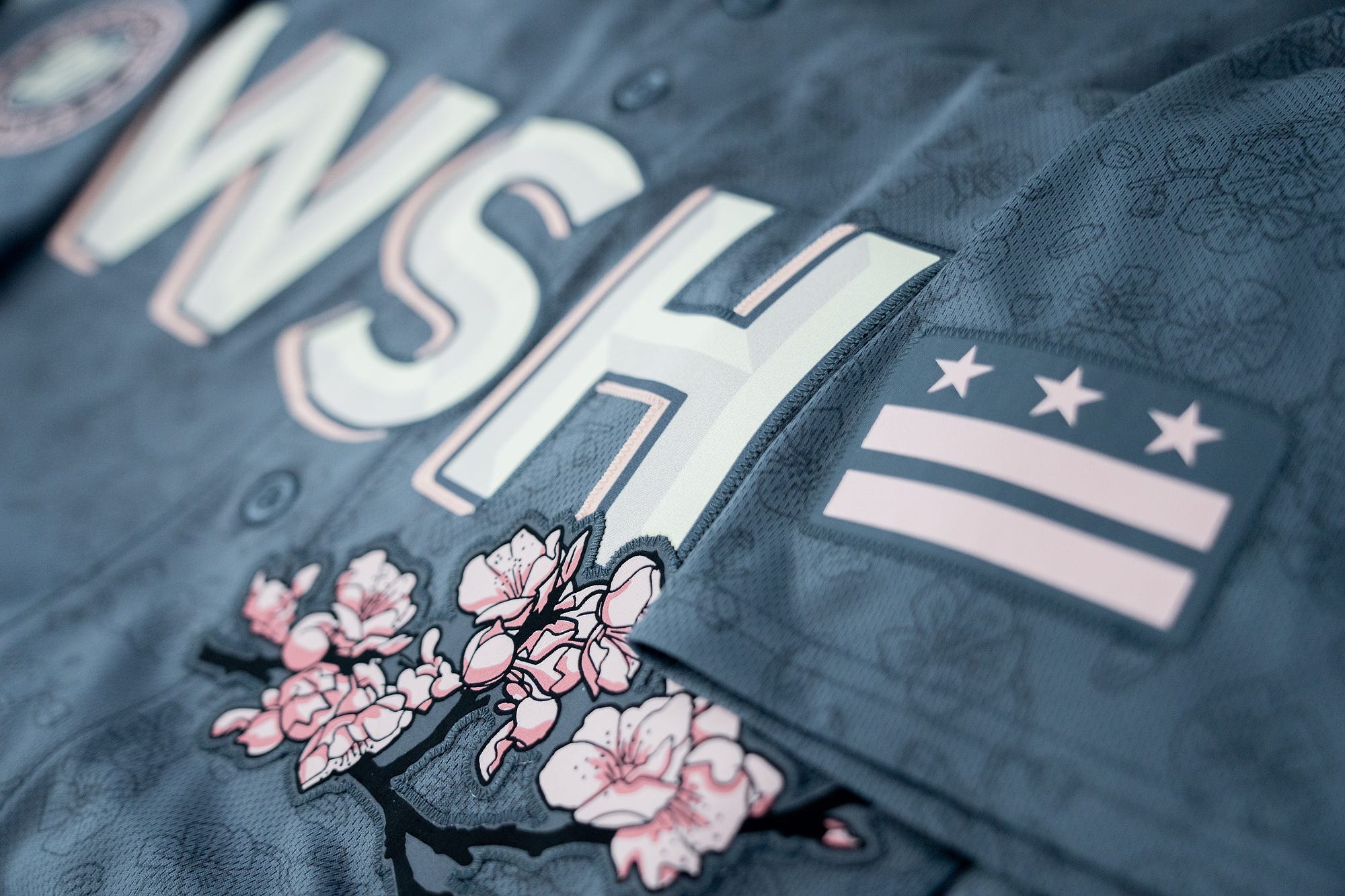 Nationals and Wizards cherry blossom Nike jersey