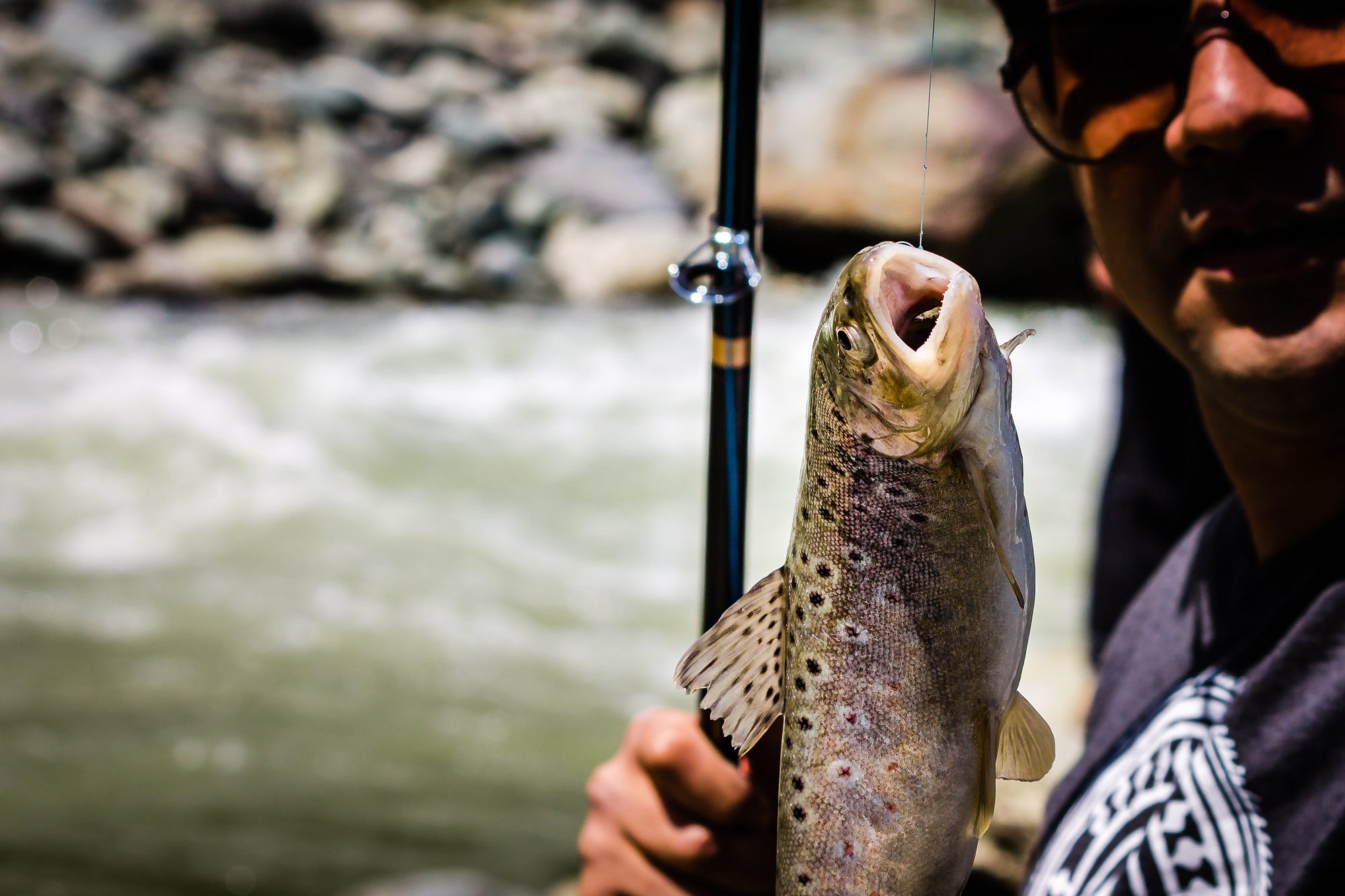 Trout fishing in Kashmir. A story about food, tourism, death and hope., by  Brad A Johnson