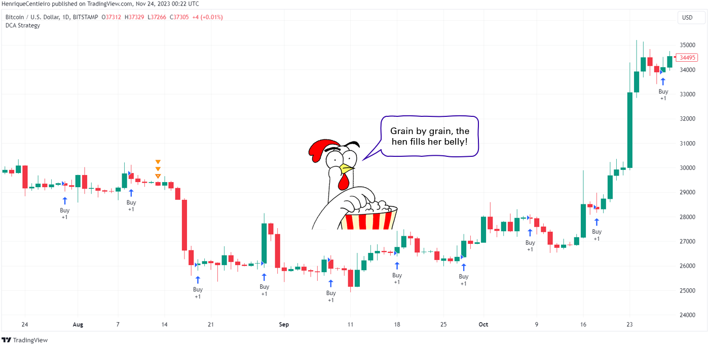 The Ultimate Guide for Successful Crypto Investors — 17 Golden Rules to  Maximize Your Gains | by Henrique Centieiro | DataDrivenInvestor