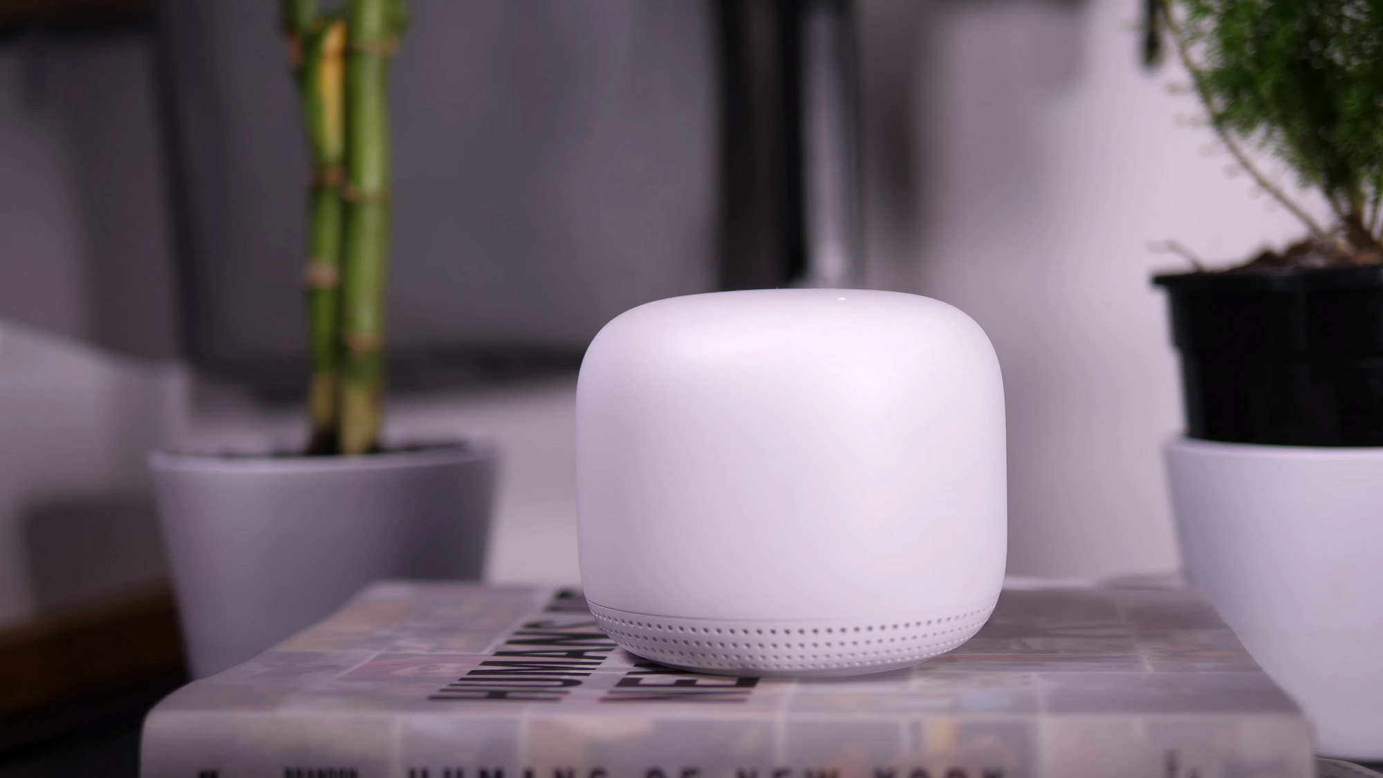 Google Nest Wi-Fi review: a quick test of the fast router