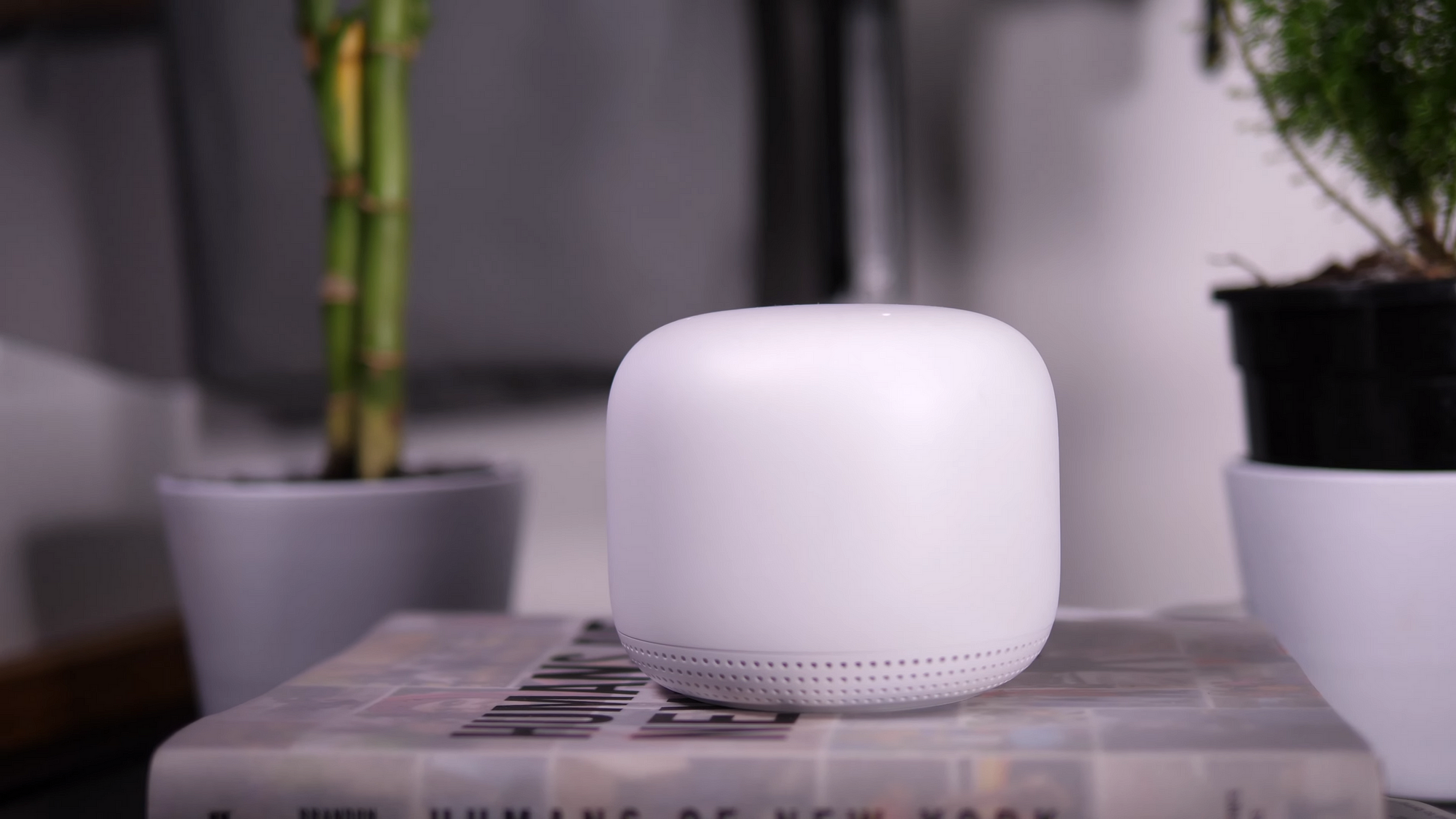 Google Nest Wifi Router and Point (Mist)