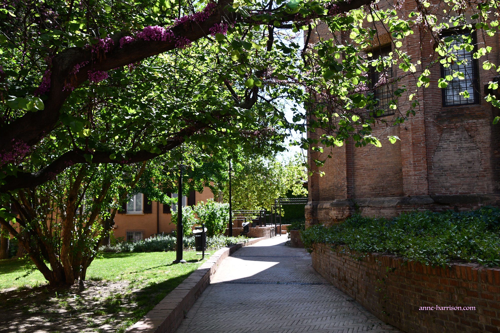 A First Morning in Bologna. As always, I got lost | by Anne