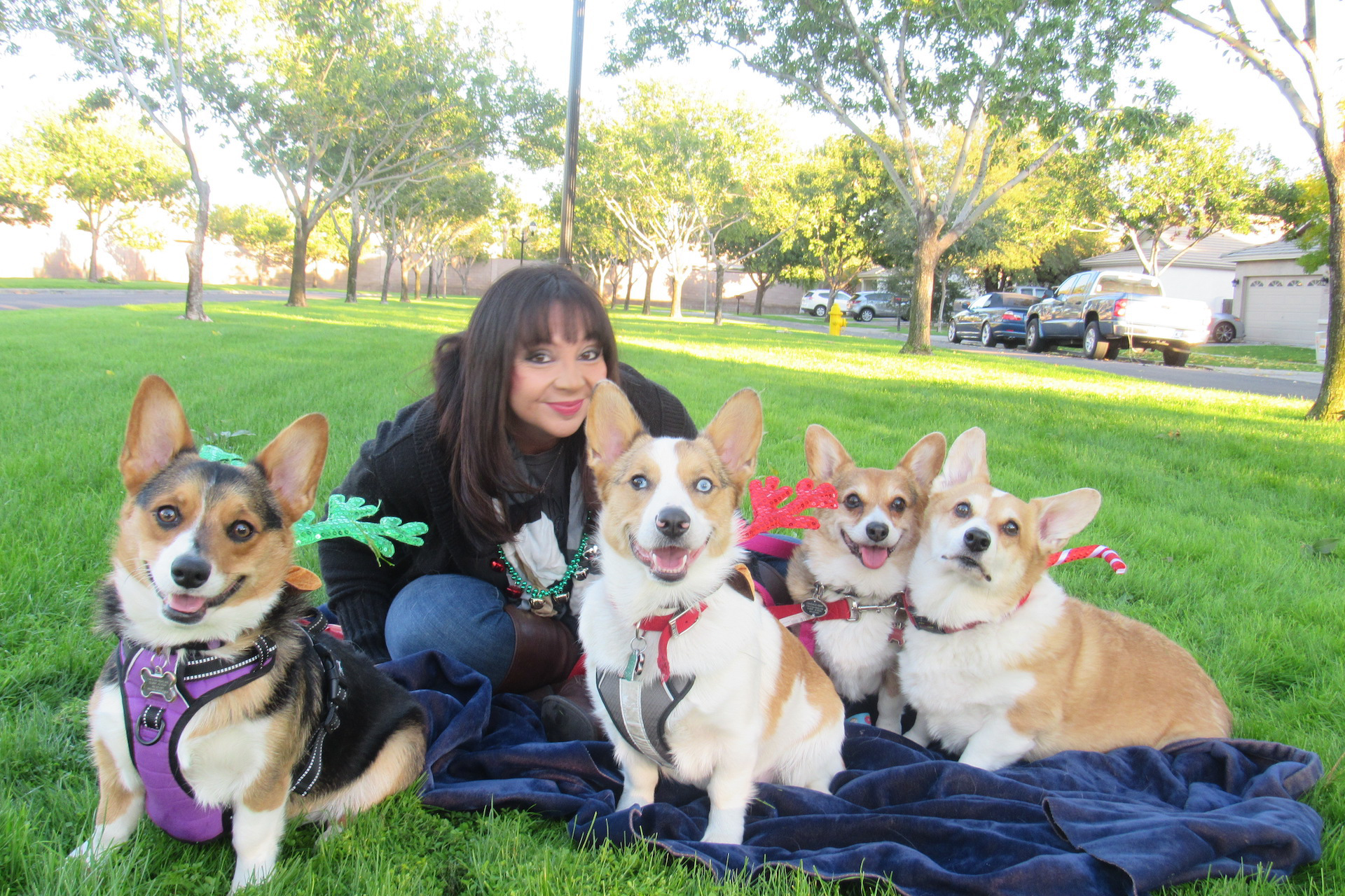 40 Photos Of Corgis Living Their Dorky Lives, As Shared In This