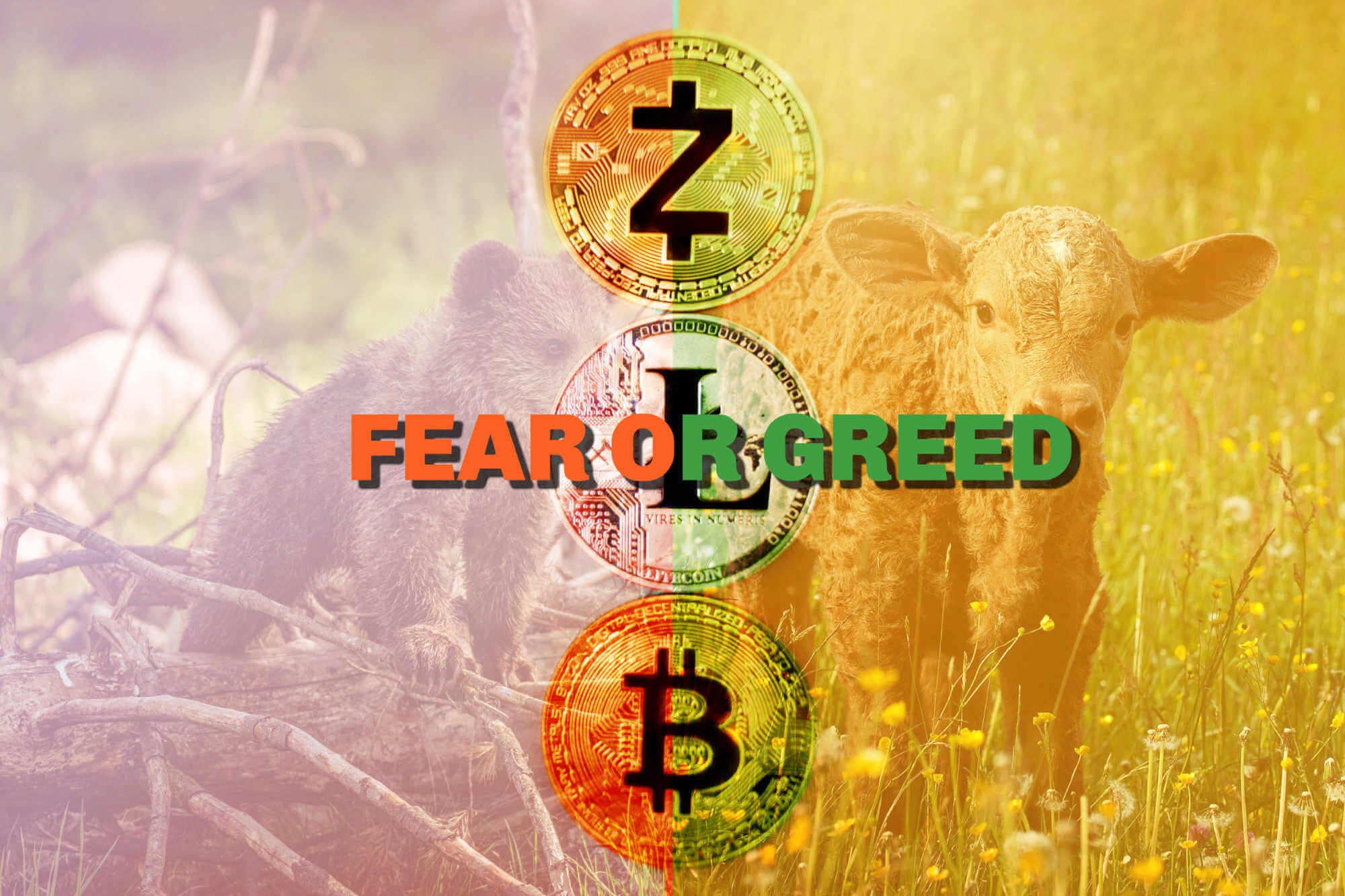 The best cryptocurrency fear and greed index live feed | by Cryptic  Liberation | Coinmonks | Medium