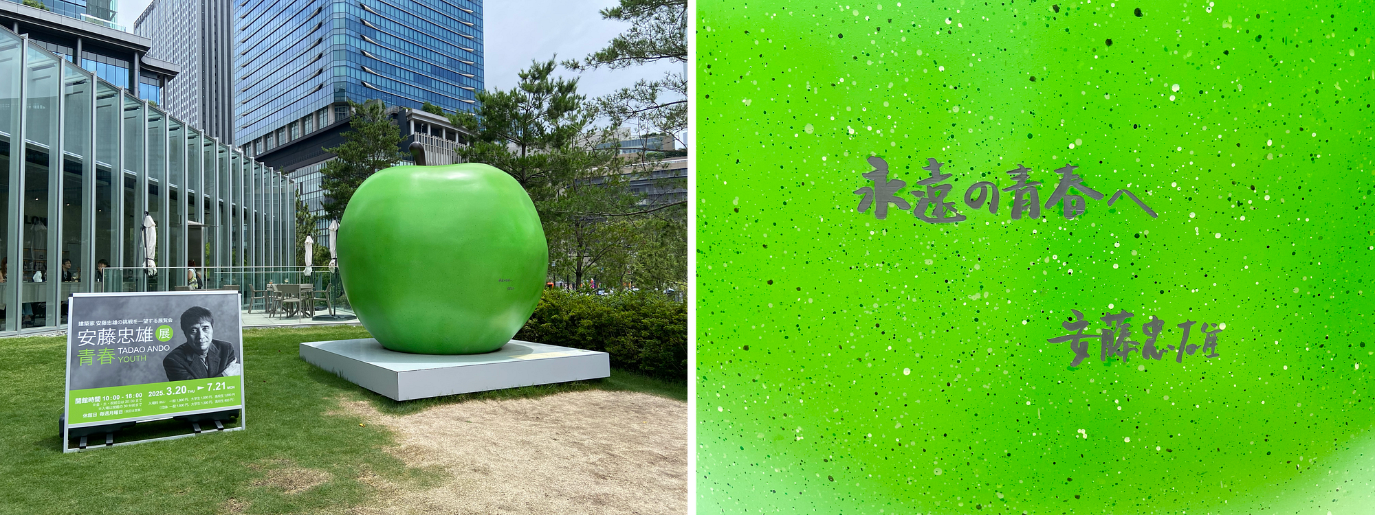 Tadao Ando Exhibition in Osaka. Eternal youth and hope, as told by