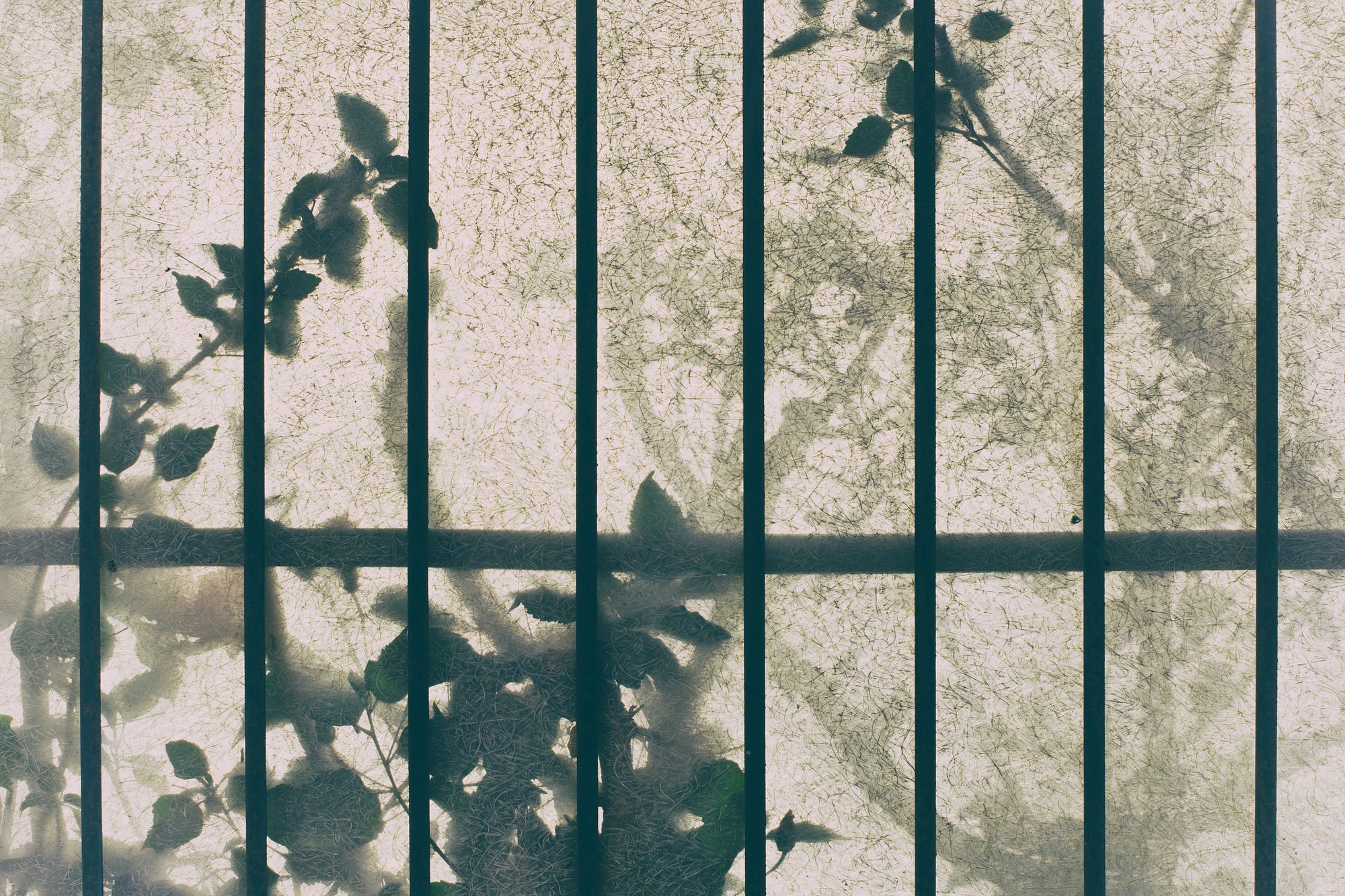The Indoor Gardener. Fiction by Mandy-Suzanne Wong | by Mandy-Suzanne Wong  | Arcturus