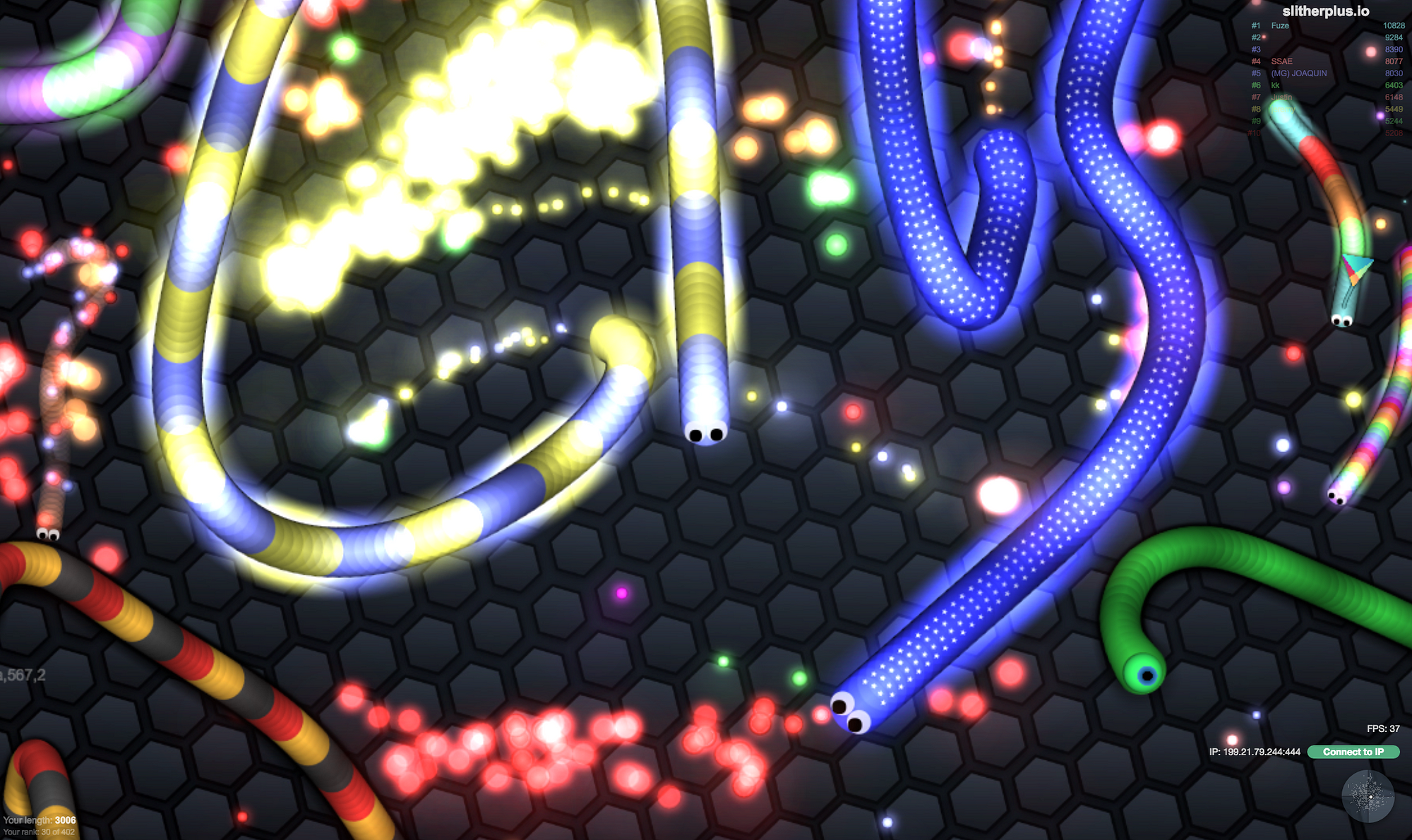 Slither.io - Free Online Game - Play Slitherio now