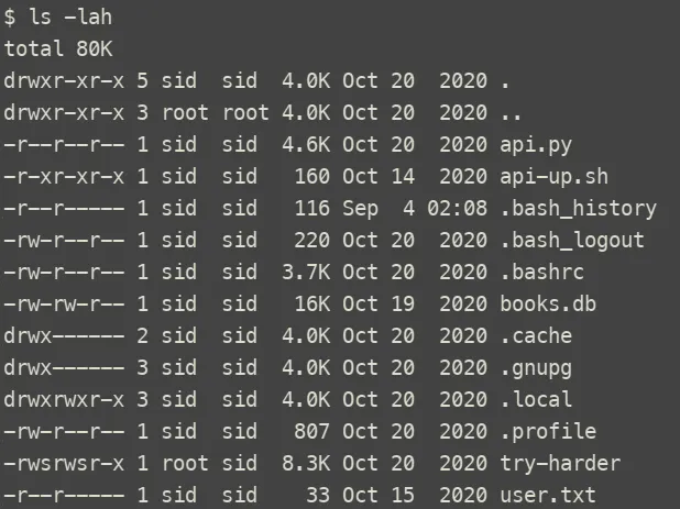 Website initial view