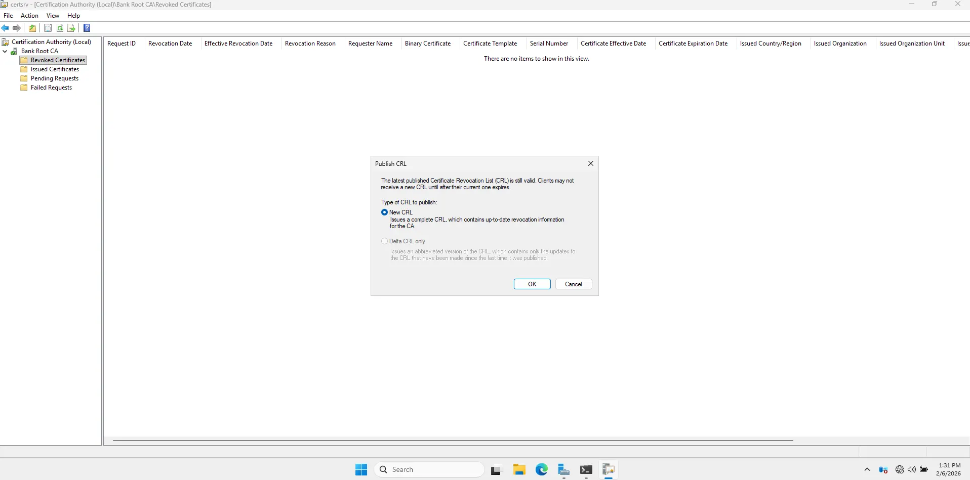 Website initial view