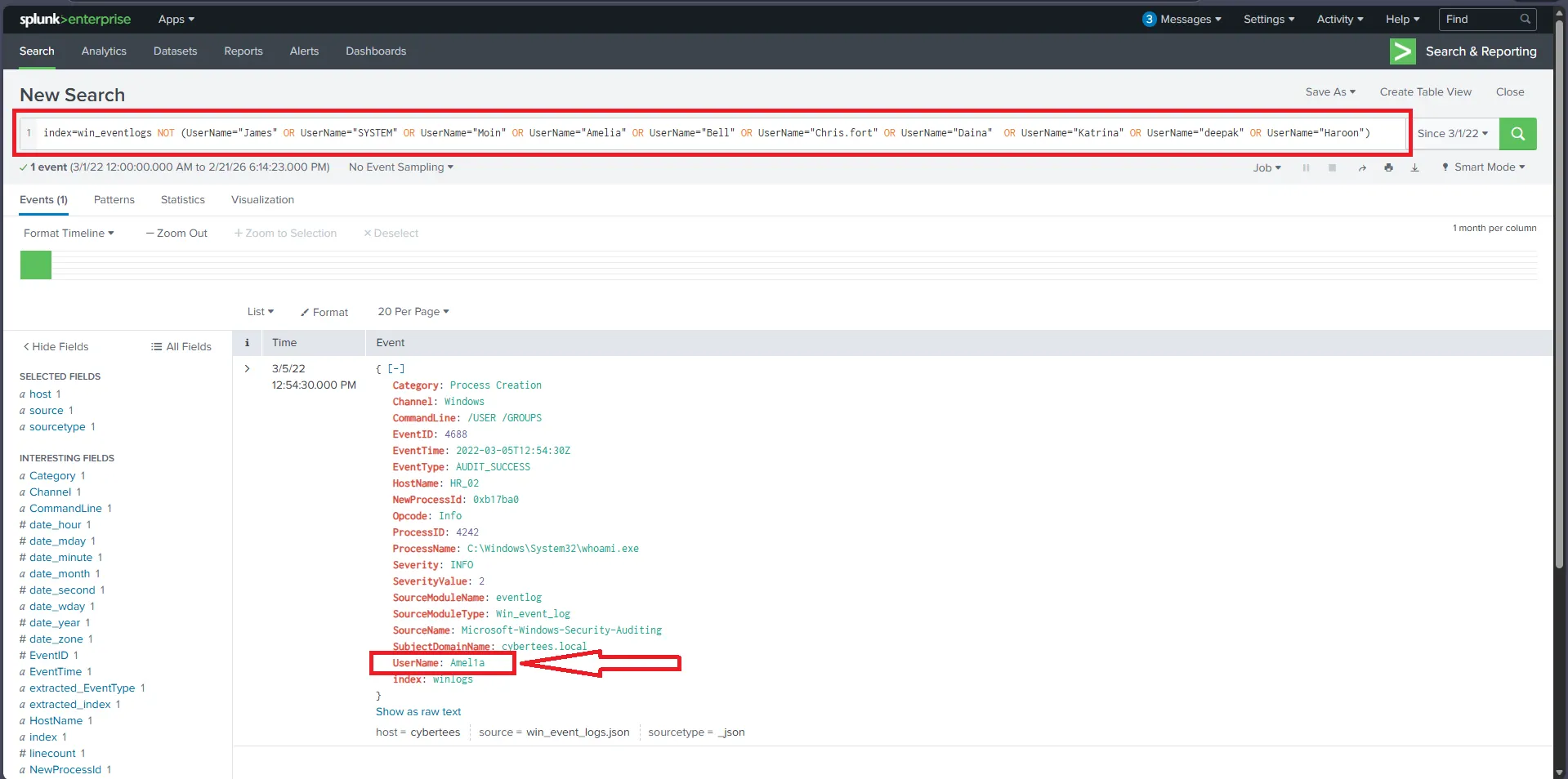 Website initial view