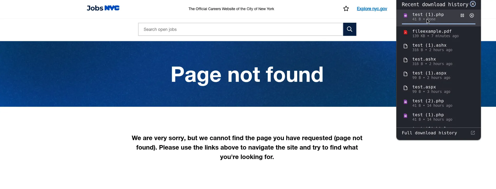 Null byte file download demo