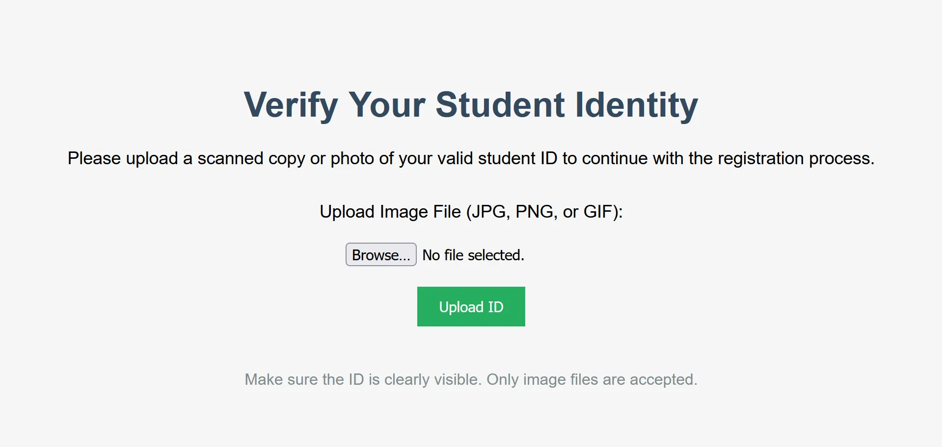 Website initial view