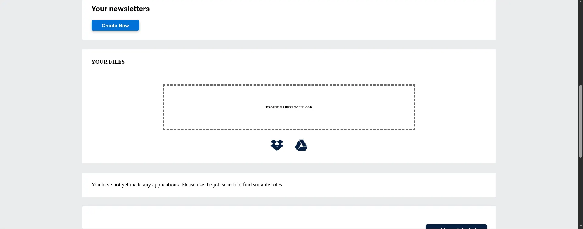 Website initial view