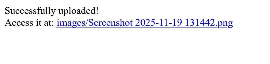 Website initial view