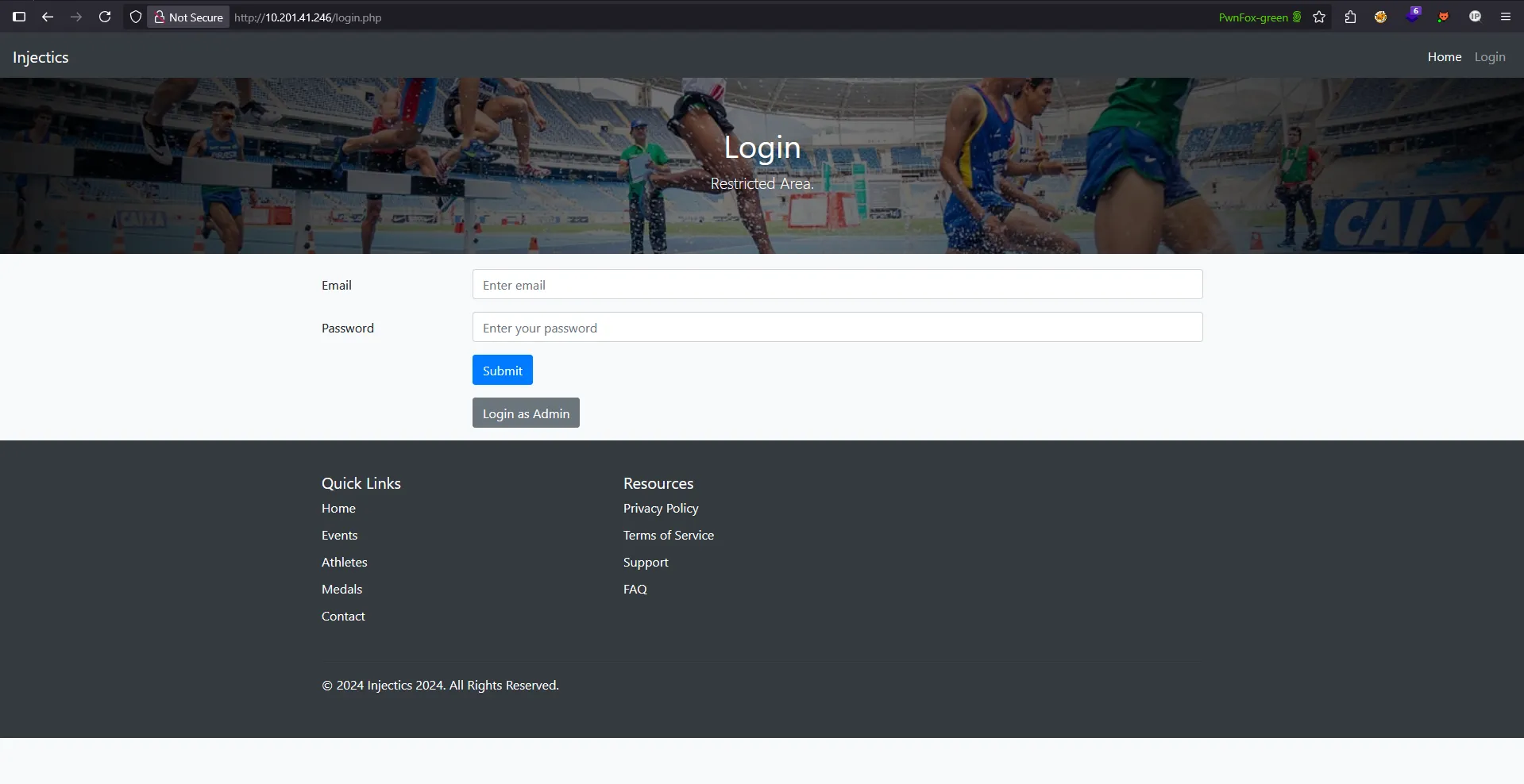 Website initial view