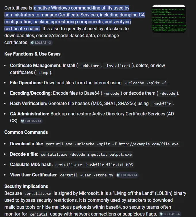 Website initial view