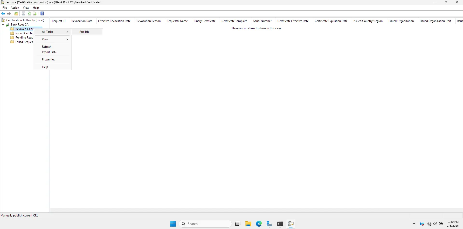 Website initial view