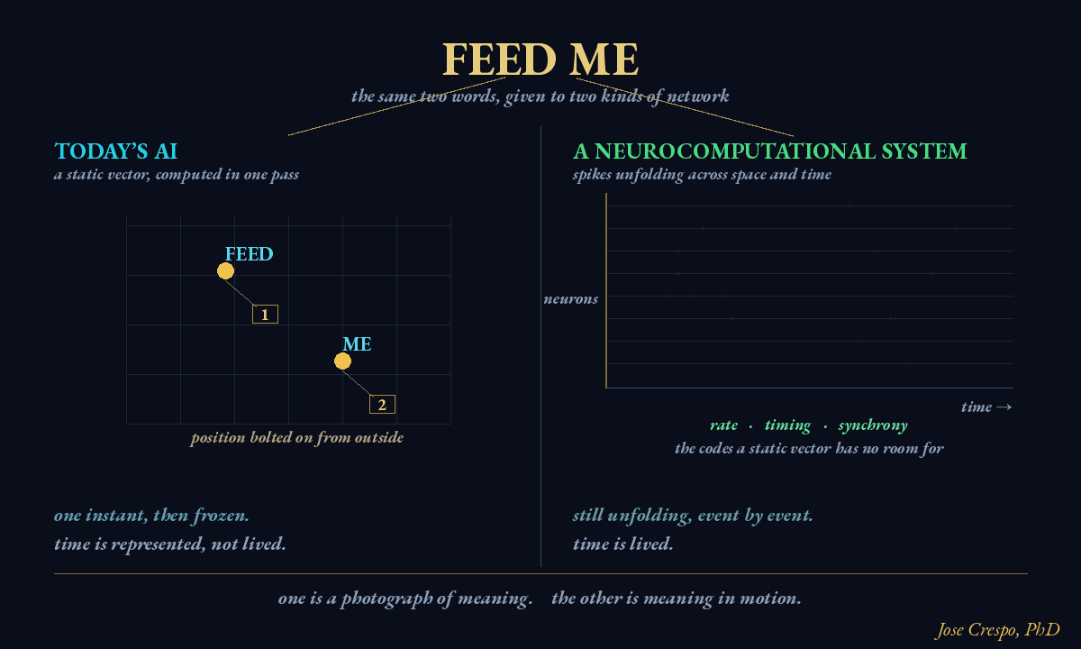 One Is a Photograph of Meaning The same two words, “FEED ME,” given to two different machines. On the left, today’s AI collapses them into static vectors: meaning as frozen coordinates, with order bolted on from outside. On the right, a neurocomputational system lets them unfold as spikes across space and time, where rate, timing, and synchrony can all carry information. One computes in an instant and then sits still. The other lives through time. One is a photograph of meaning. The other is me