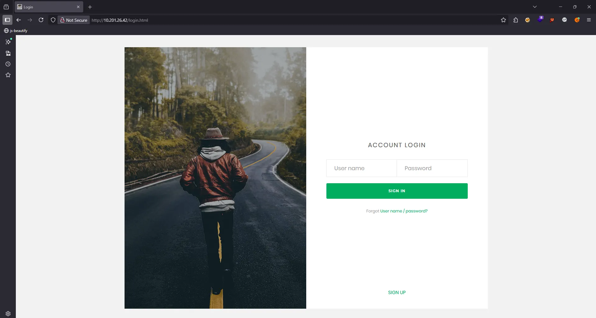 Website initial view