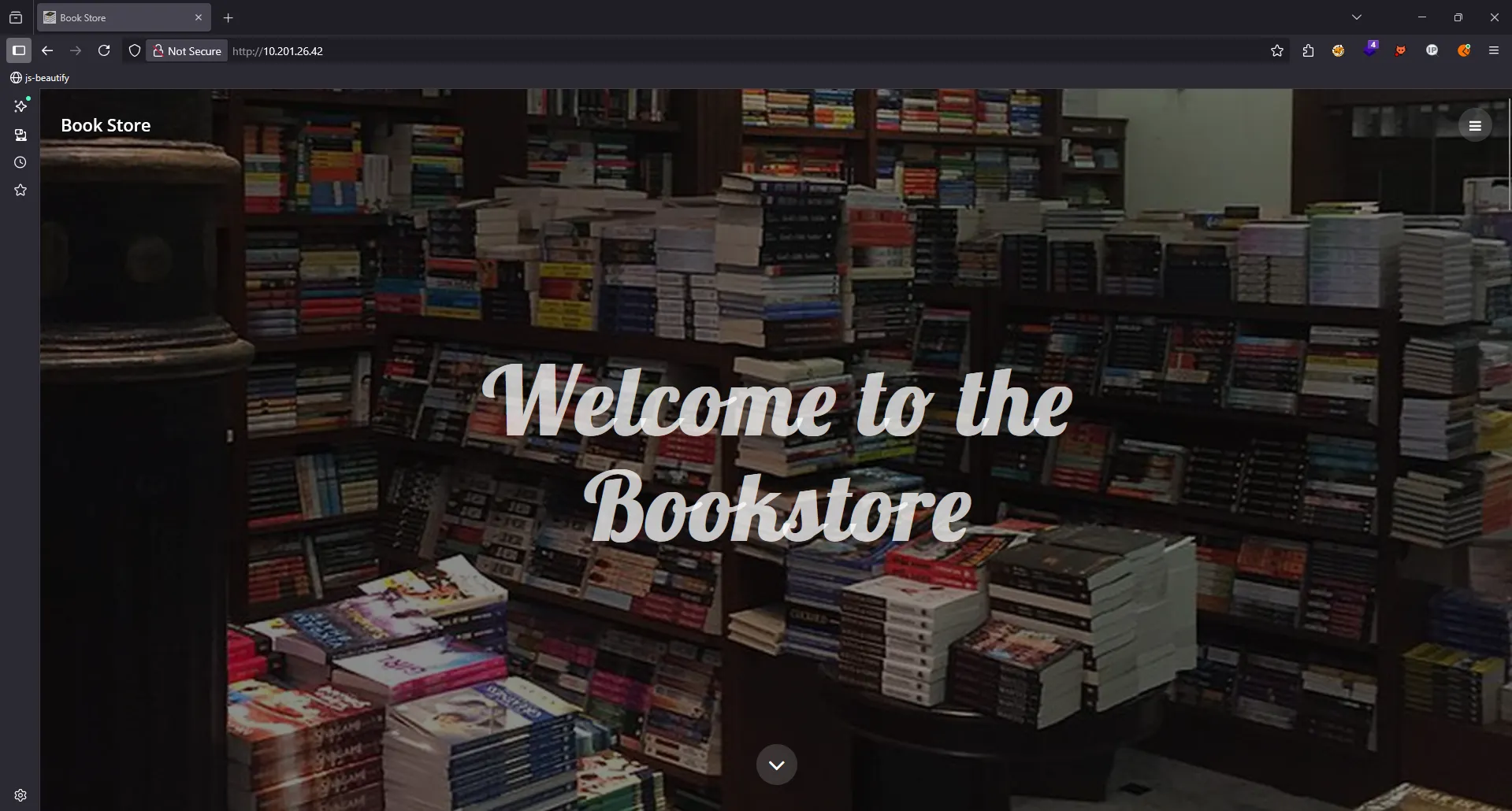 Website initial view