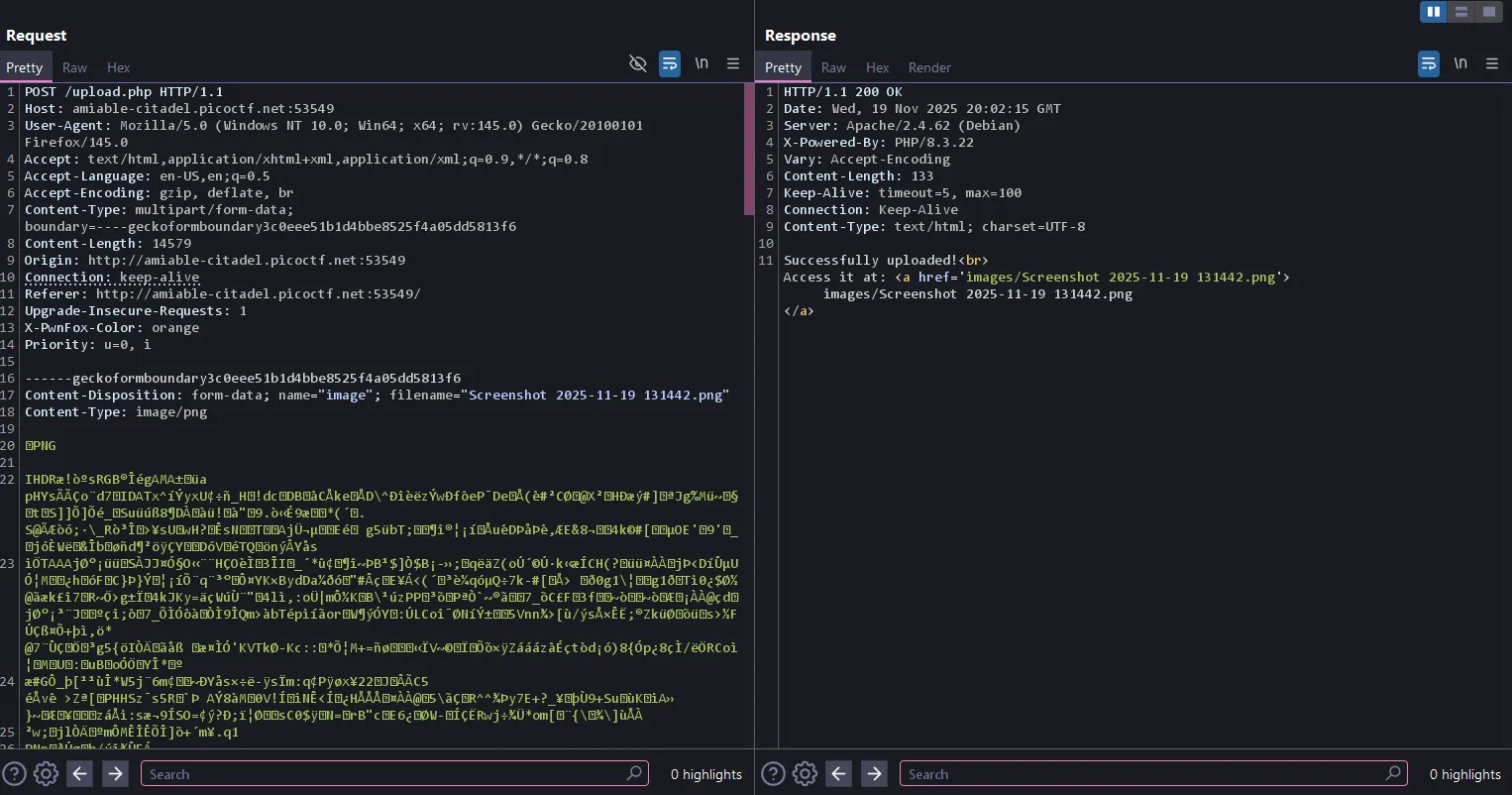 Website initial view