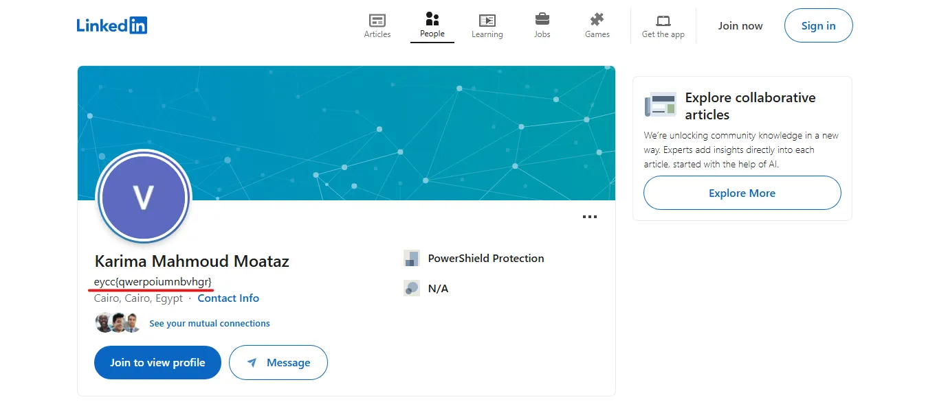 LinkedIn Flag