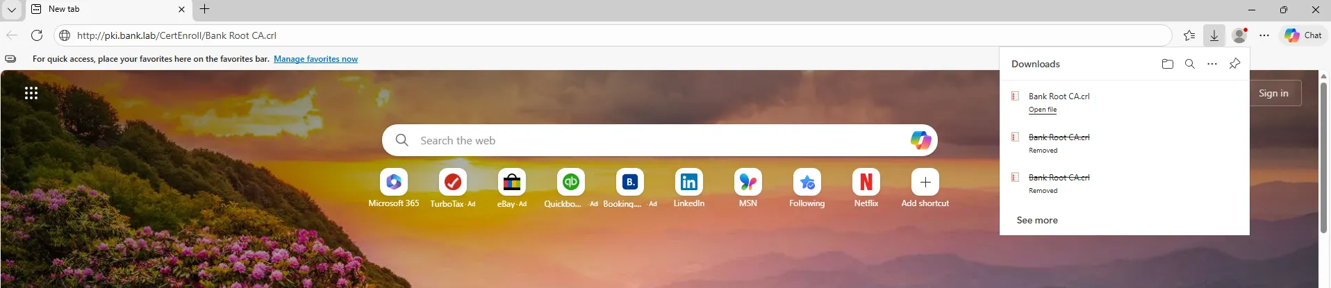 Website initial view