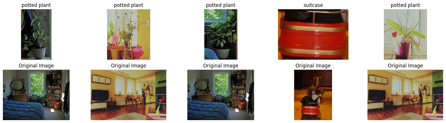 plant