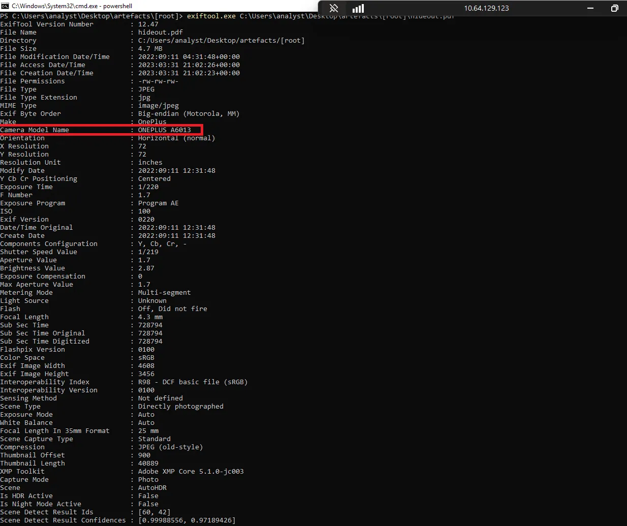 Website initial view