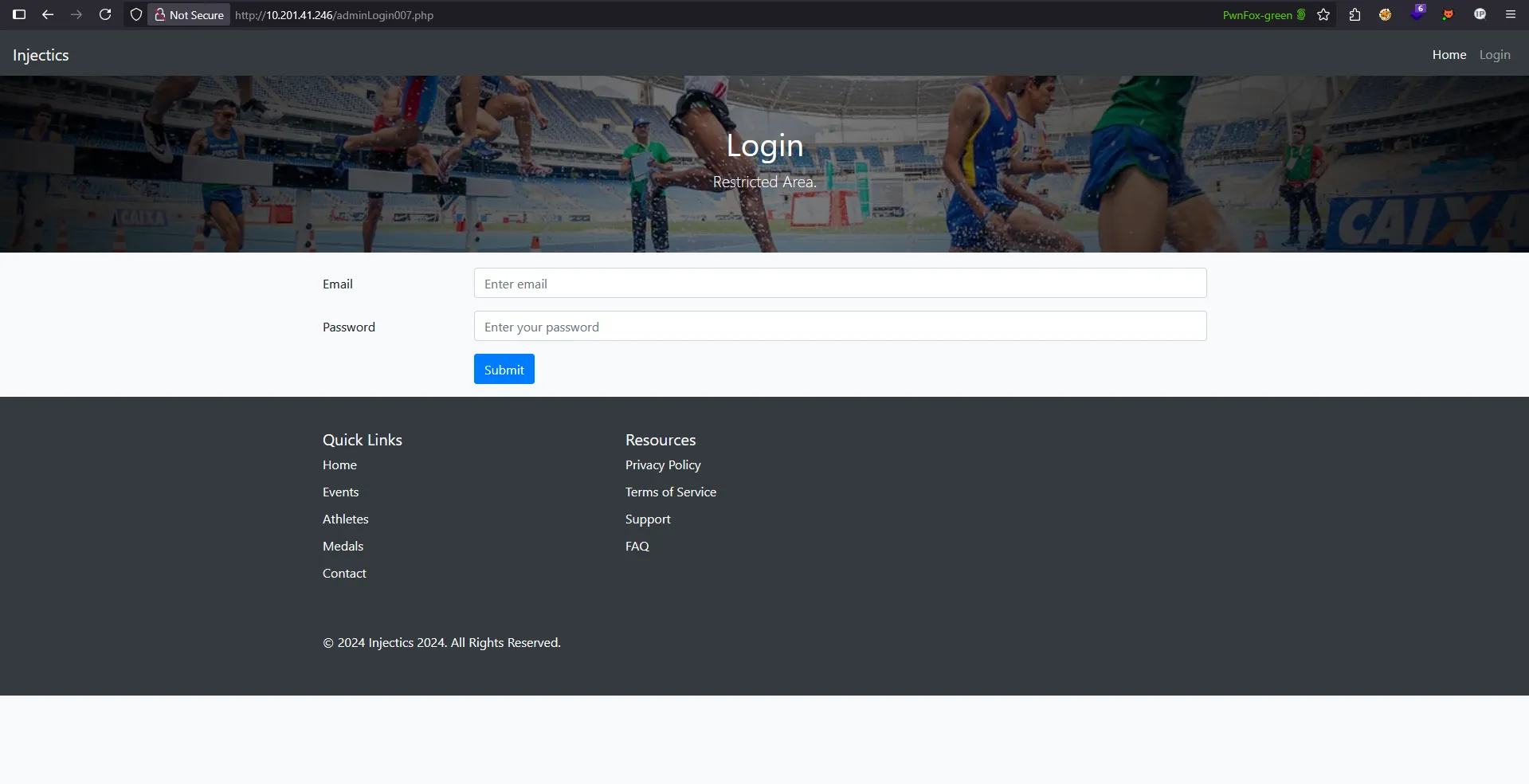 Website initial view