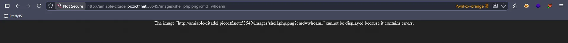 Website initial view