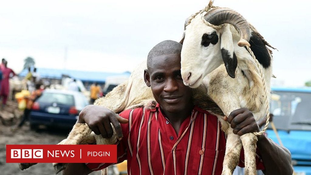 Power in the Blood: Animal Sacrifice in West Africa - IMB