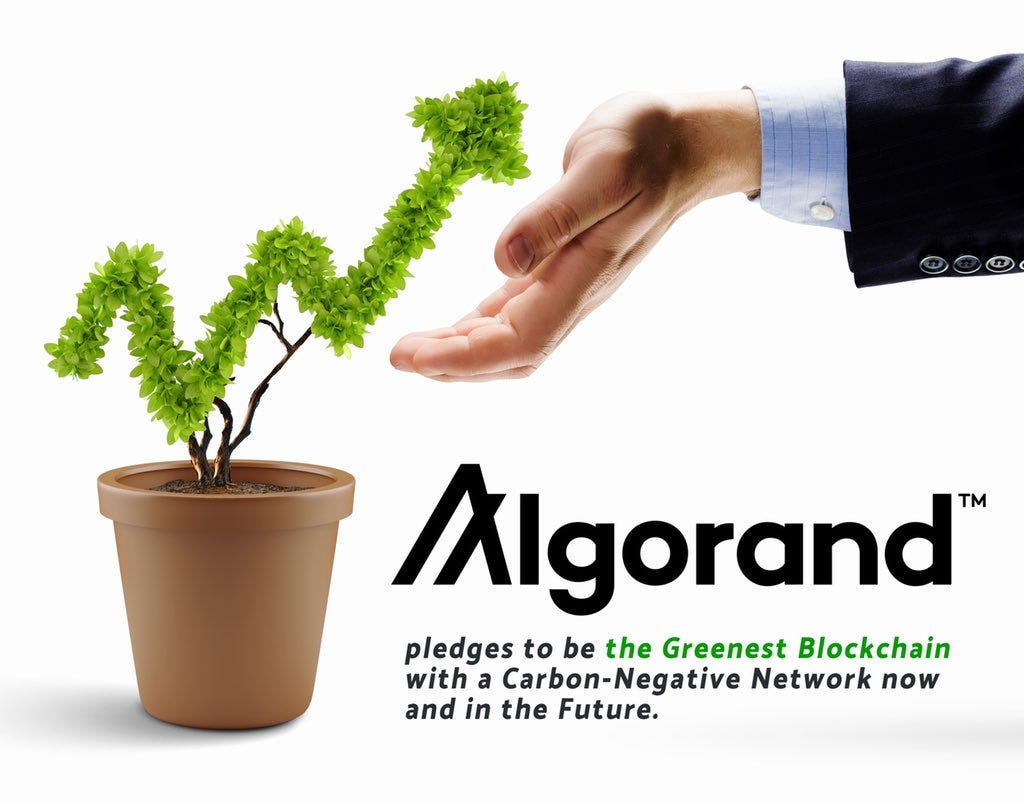 WHY ALGORAND? WHAT SHOULD I KNOW BEFORE I CHOOSE ALGORAND FOR MY BUSINESS  OR INVESTMENT? | by Algo Gang Originals | Medium