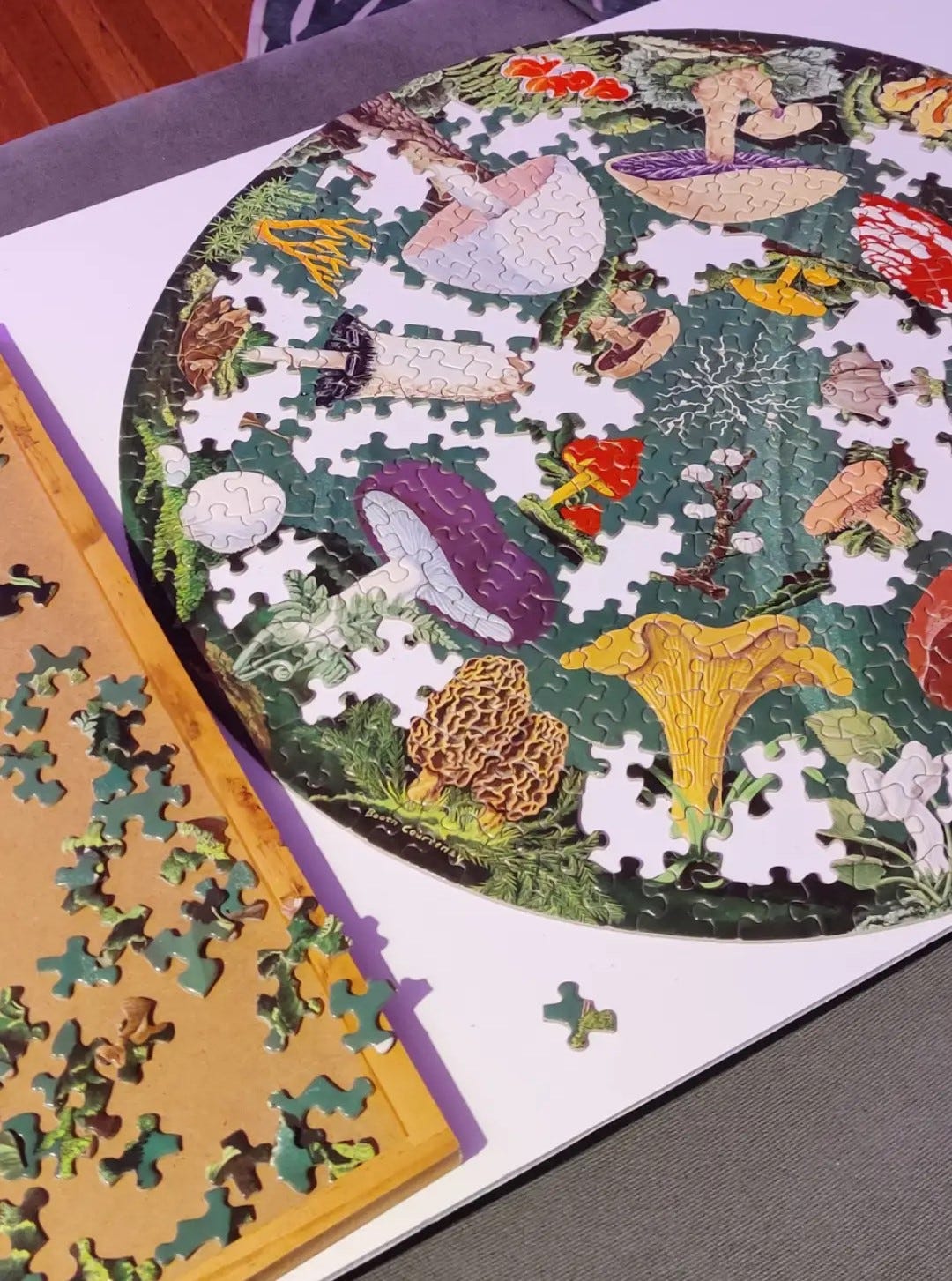Jigsaw Puzzle Tips for Beginners: Essential Hacks for Success