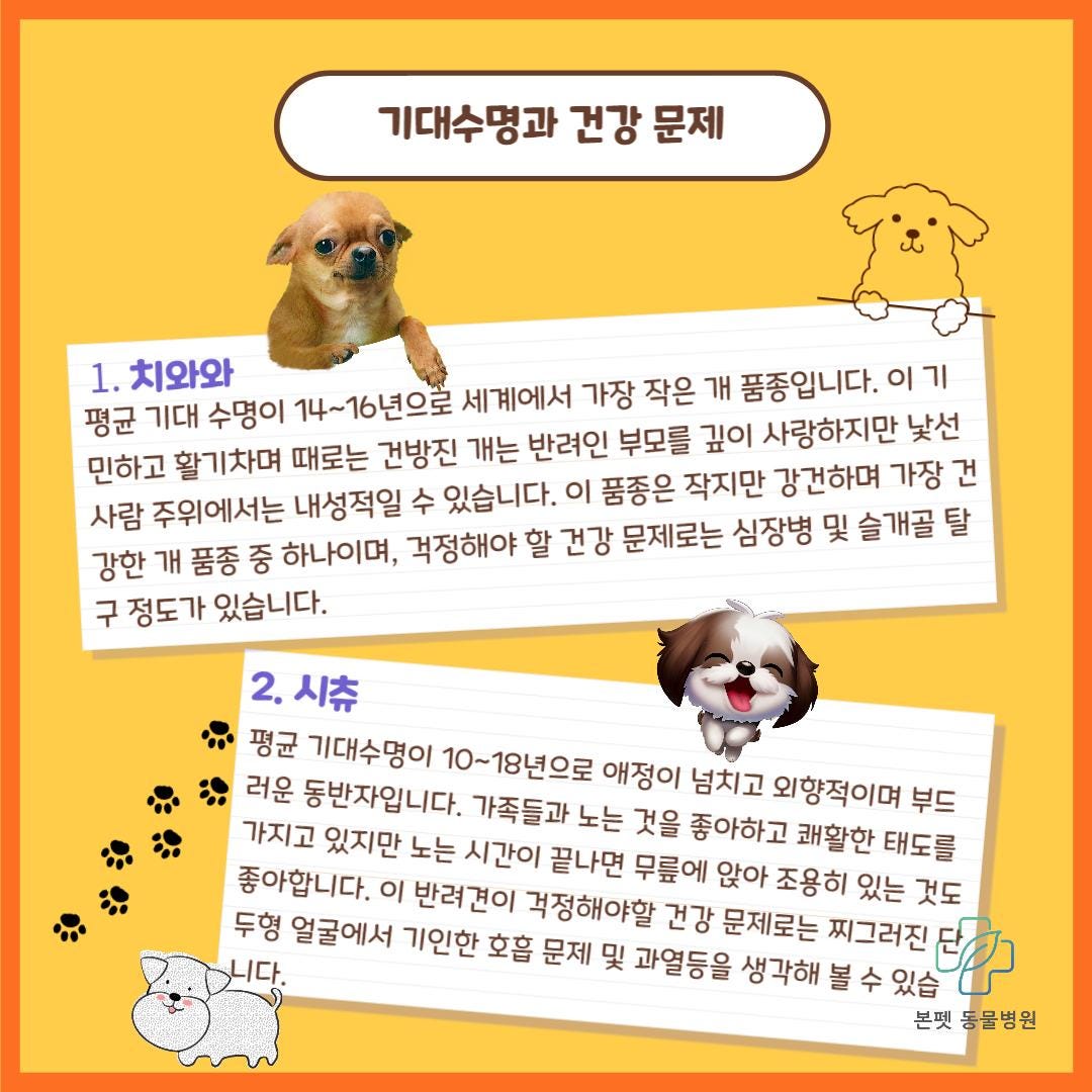 세상에서 가장 작은 개 품종