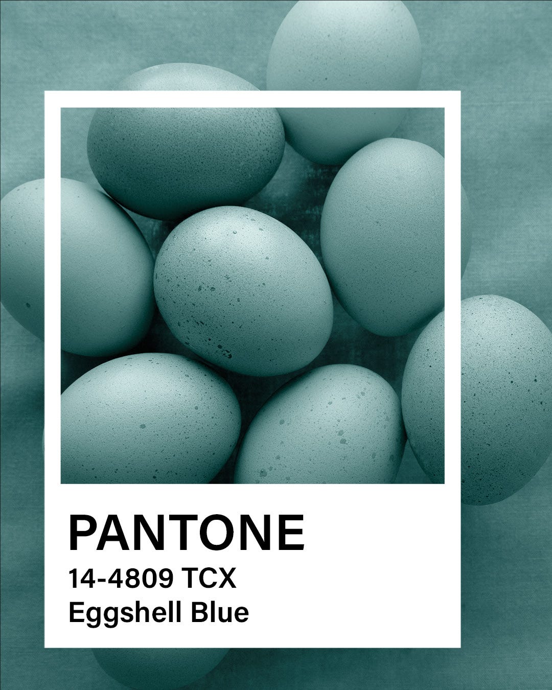 Pantone Photo Series