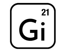 Gi21 Capital by Damir Špoljarič