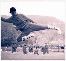 My Journey in Martial Arts