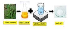 Green synthesis and characterization of La2O3 nanoparticles using Eclipta prostrata and its…