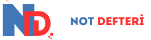 Sınıfsal Ayrımlar ve Temsiliyet — Not Defteri