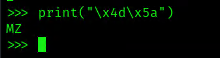 Magic bytes confirm this may be the start of calc.exe.