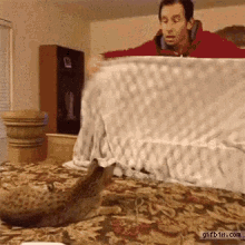 magic disappearing trick on a cat
