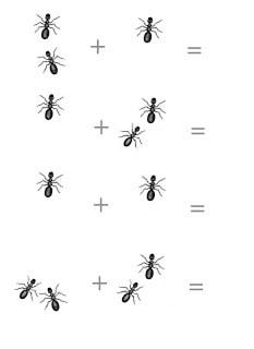 How To Get Rid Of Fire Ants