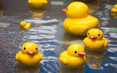 Los Patitos de Hule: De Juguete a Fenómeno Científico y Cultural