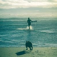 Stephanie Renee Williams – Medium